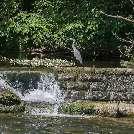 Pebble Path At Eamont Park 펜션 *